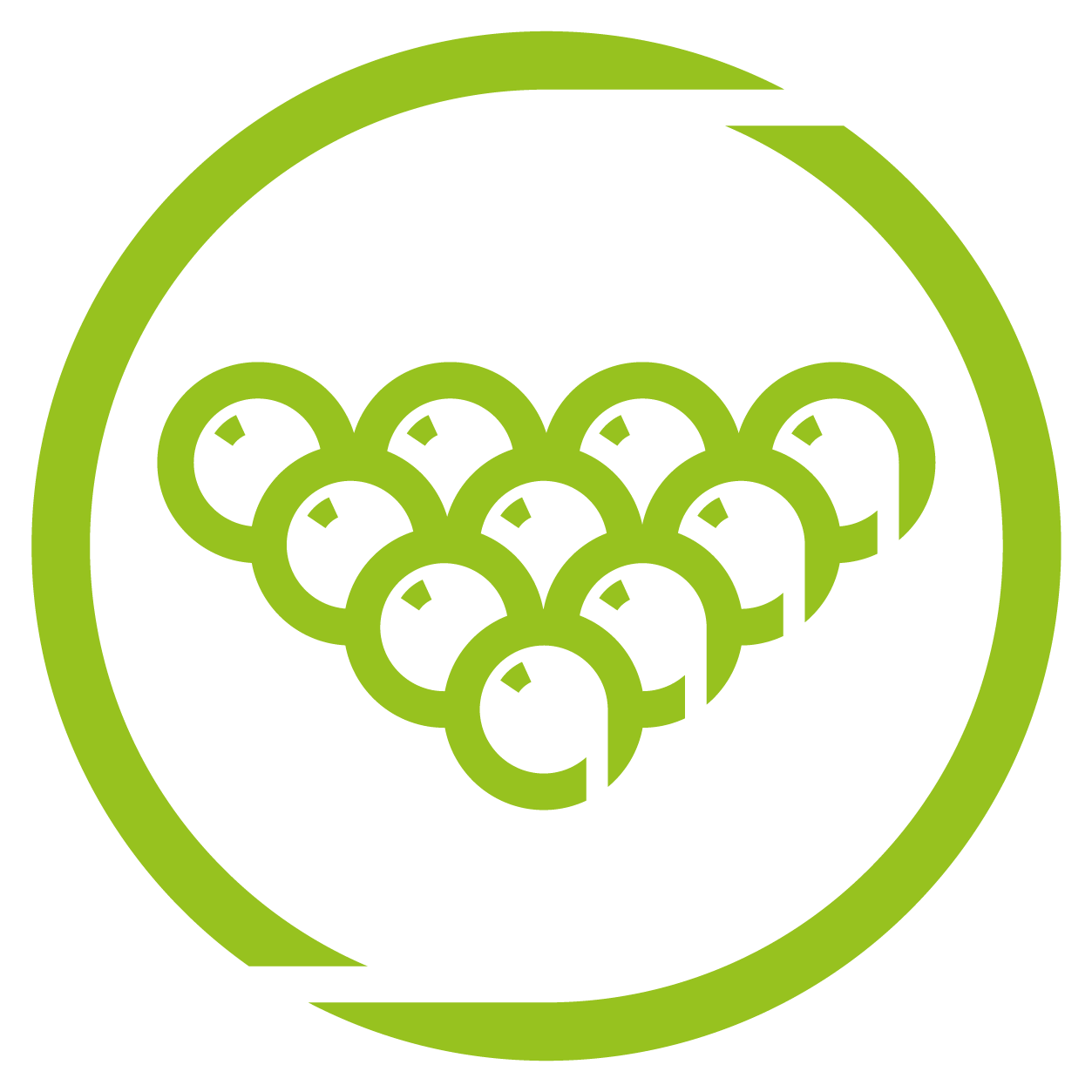 Poolball Icon
