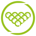 Poolball Icon